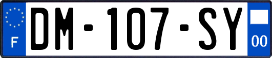 DM-107-SY