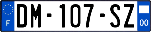 DM-107-SZ