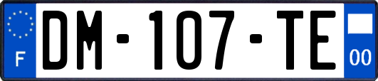 DM-107-TE
