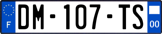 DM-107-TS