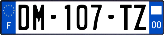 DM-107-TZ