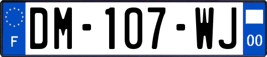 DM-107-WJ