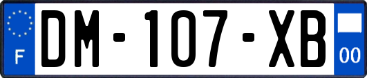 DM-107-XB