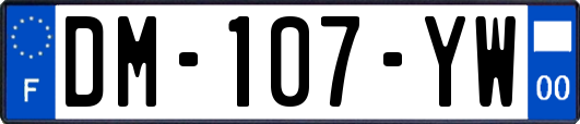 DM-107-YW