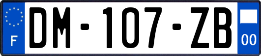 DM-107-ZB