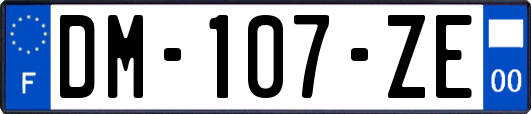 DM-107-ZE