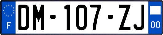 DM-107-ZJ