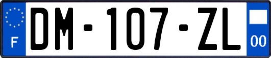 DM-107-ZL