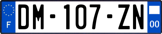 DM-107-ZN