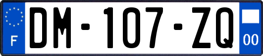 DM-107-ZQ