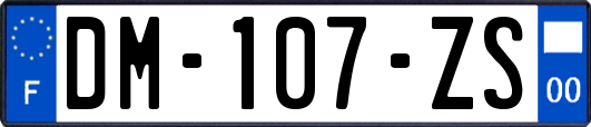 DM-107-ZS