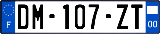 DM-107-ZT