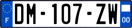 DM-107-ZW