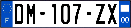 DM-107-ZX