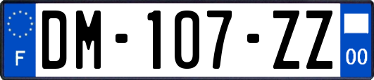 DM-107-ZZ