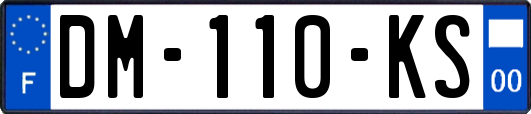 DM-110-KS