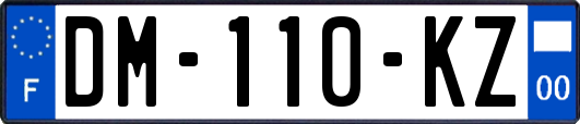 DM-110-KZ