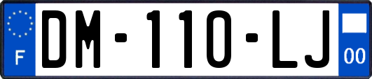 DM-110-LJ
