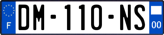 DM-110-NS