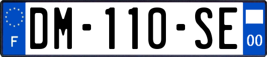 DM-110-SE