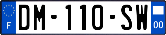 DM-110-SW