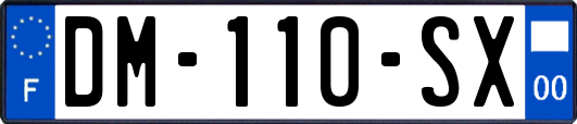 DM-110-SX