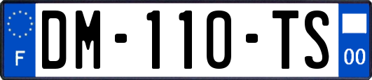 DM-110-TS