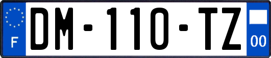 DM-110-TZ