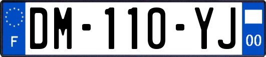 DM-110-YJ