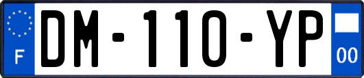 DM-110-YP