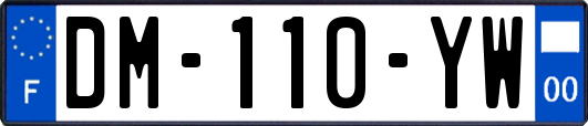 DM-110-YW