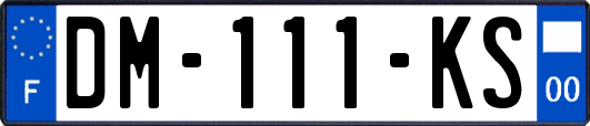 DM-111-KS
