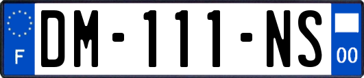 DM-111-NS