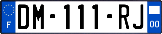 DM-111-RJ
