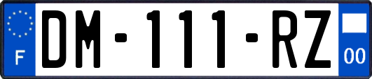 DM-111-RZ