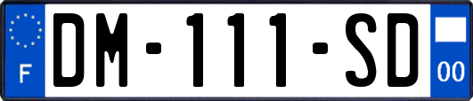 DM-111-SD