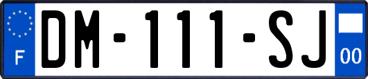 DM-111-SJ