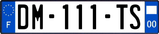 DM-111-TS