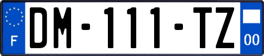 DM-111-TZ