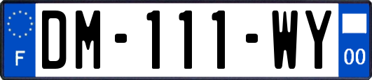 DM-111-WY