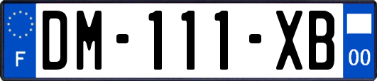 DM-111-XB