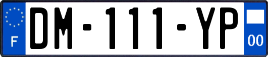 DM-111-YP