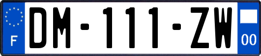 DM-111-ZW