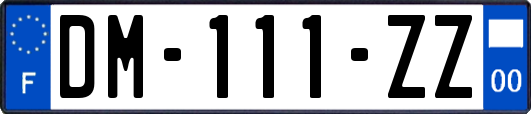 DM-111-ZZ