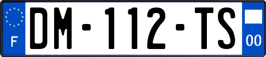DM-112-TS
