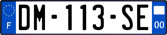 DM-113-SE