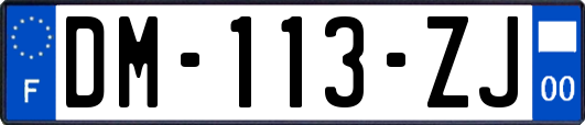 DM-113-ZJ