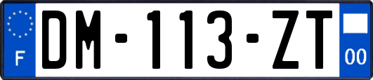 DM-113-ZT