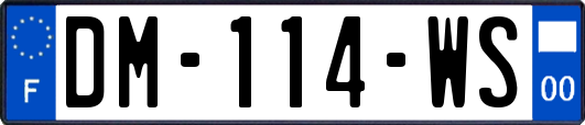 DM-114-WS