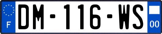 DM-116-WS